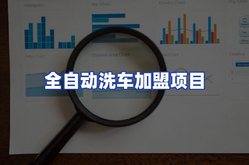 全自动洗车项目