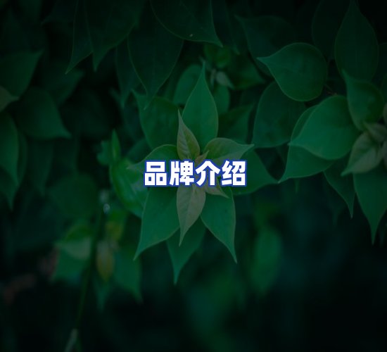 公司总部