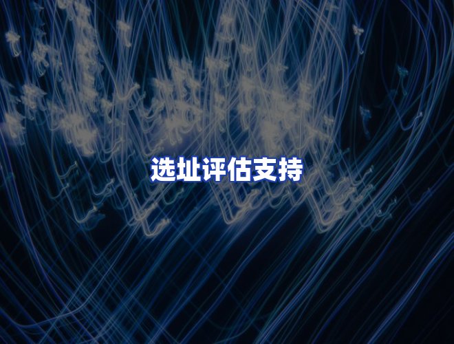运营团队