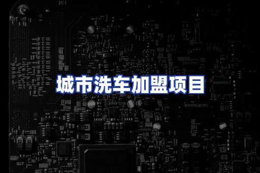 城市洗车加盟项目